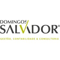 Domingos Salvador - Gestão, Contabilidade & Consultoria logo - Similar company to Contarea - Gestão E Contabilidade