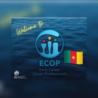 ECOP CAMEROON🇨🇲 logo - Similar company to Youths And Contemporary Development