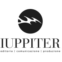 Iuppiter Group logo - Similar company to Grey Solid Construction