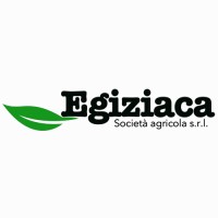 Egiziaca società agricola s.r.l. logo - Similar company to Piccirillo Winemakers