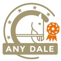 Any Dale Hippique logo - Similar company to Berenshot