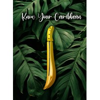 Know Your Caribbean logo - Similar company to The Caribbean Council