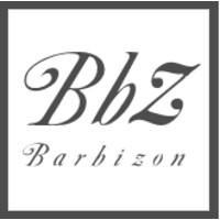 bbz barbizon logo - Similar company to Playmaker Chile