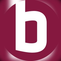 BeraterNetz Mainfranken logo - Similar company to Der Mittelstand. Bvmw E.V. Mainfranken