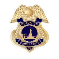 Black Ice Consulting