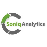 SoniqAnalytics logo - Similar company to Igo Labs