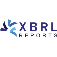XBRLreports BV logo - Similar company to Dp It Services