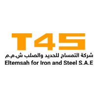 El Temsah For Iron and Steel - التمساح للحديد والصلب logo - Similar company to Master Group Service