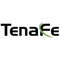 TenaFe Inc logo - Similar company to Sandforce