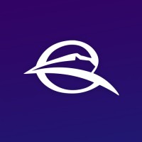 Chitasoft logo - Similar company to Narenjsystem
