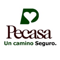 Servicios Pecasa Agente De Seguros