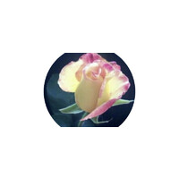 Eye Aspire Llc