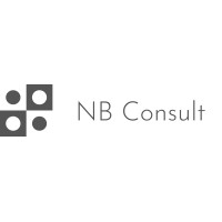 NB Consult logo - Similar company to Opus