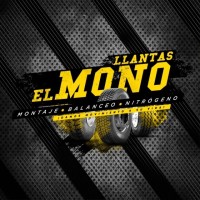 Llantas el mono logo - Similar company to Clínica De Llantas Y Rines Ltda