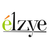 Elzye logo - Similar company to Pulloh
