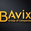 BAvix Group of Companies logo - Similar company to Mister Pet