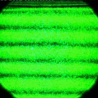ULF FORTH logo - Similar company to Lasers4Eu
