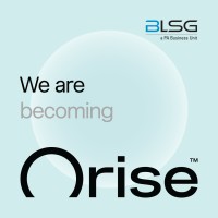 BLSG - a PA Business Unit logo - Similar company to Dehaven Digital