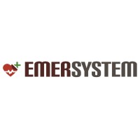 Emersystem logo - Similar company to Icubeplus