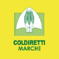 Coldiretti Marche logo - Similar company to Studio Plana