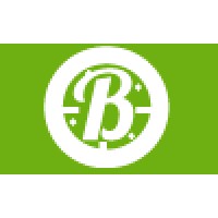 Buzz logo - Similar company to Ctd Web Designs