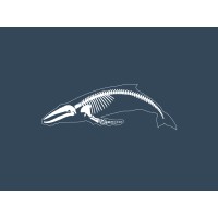 Whalebone Spirits Consulting, LLC logo - Similar company to Canthesis