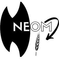 NEOM Solutions logo - Similar company to Neom Link Gmbh