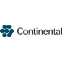 Continental Ltd logo - Similar company to Serverzaak