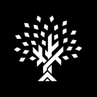 Titanium Birch logo - Similar company to Expressvpn