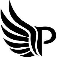 Paragon Drones logo - Similar company to Uk Aerial Drones