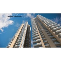 Irish Pearls Noida Extension logo - Similar company to Irish Pearls
