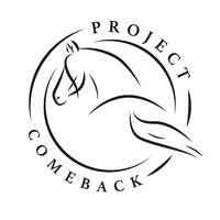 Project Comeback