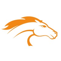 baliosoft logo - Similar company to Eonian Software Solutions Private Limited