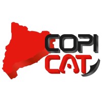 COPICAT SALA ROURA SL logo - Similar company to Apen Centre Informàtic