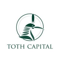 Toth Capital Consultoria logo - Similar company to Figo Asset