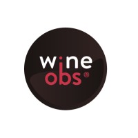 Wineobs logo - Similar company to Vitcodes. Diseño Y Desarrollo De Sistemas