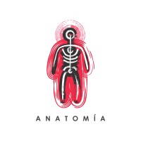 Anatomía, estudio creativo logo - Similar company to Anatomia