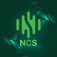 NIT Computer Society logo - Similar company to Marconics Hec Alger