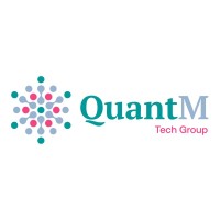 QuantM Tech Group logo - Similar company to Bluelight Consulting