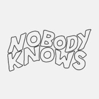 Nobody Knows Studios logo - Similar company to Ginny