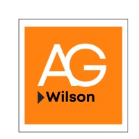 AG WILSON BUSINESS COACH logo - Similar company to Hone Business Development Consultancy