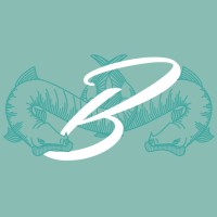 Barracuda Stories logo - Similar company to Códice