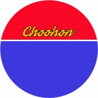 Shandong Choohon Import & Export Co.,Ltd. logo - Similar company to Data Searches Scopes