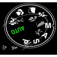 Nikki M Photography logo - Similar company to Nikki Newheart