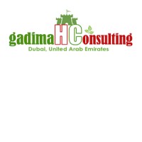 Gadimah Consulting LLC-FZ logo - Similar company to Soluteams