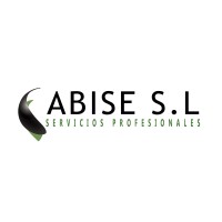 ABISE_SERVICIOS logo - Similar company to Mobpay Guinea Ecuatorial
