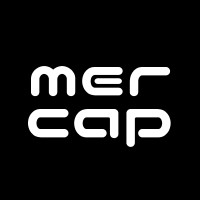 Merenti Capital AG logo - Similar company to Liquity