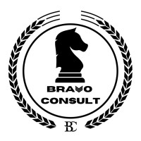 Bravo Consult logo - Similar company to Tier One Inc.