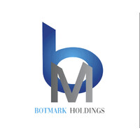 Botmark Holdings logo - Similar company to World Wide Services Llc