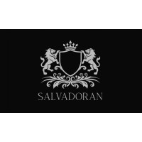 Salvadoran logo - Similar company to Diznet